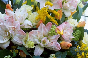 切り花のもちが変わります